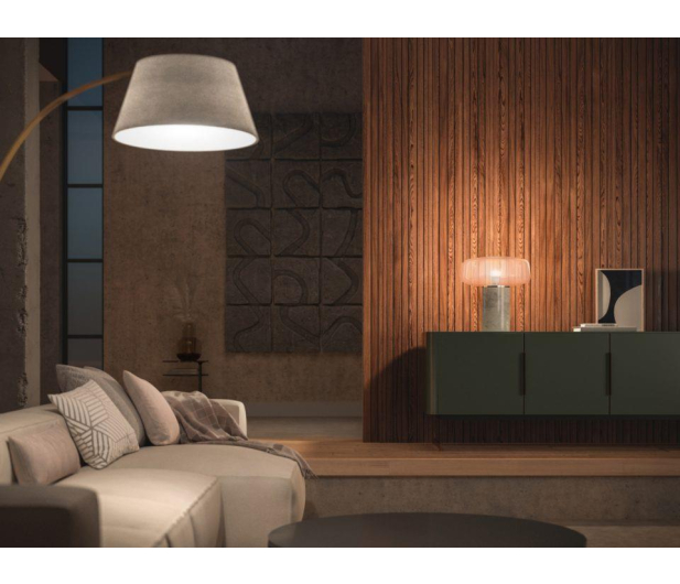 Philips Hue White Inteligentna Żarówka 2xE27 1100lm 8719514289192 - 709619 - zdjęcie 4